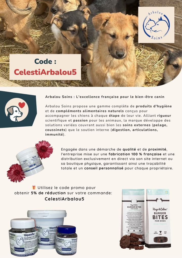 Association Célestia, Partenaire du Refuge d'Alina & Anda