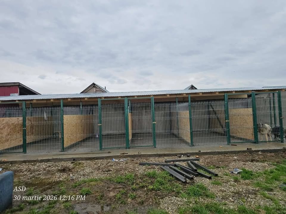 Association Célestia, Partenaire du Refuge d'Alina & Anda