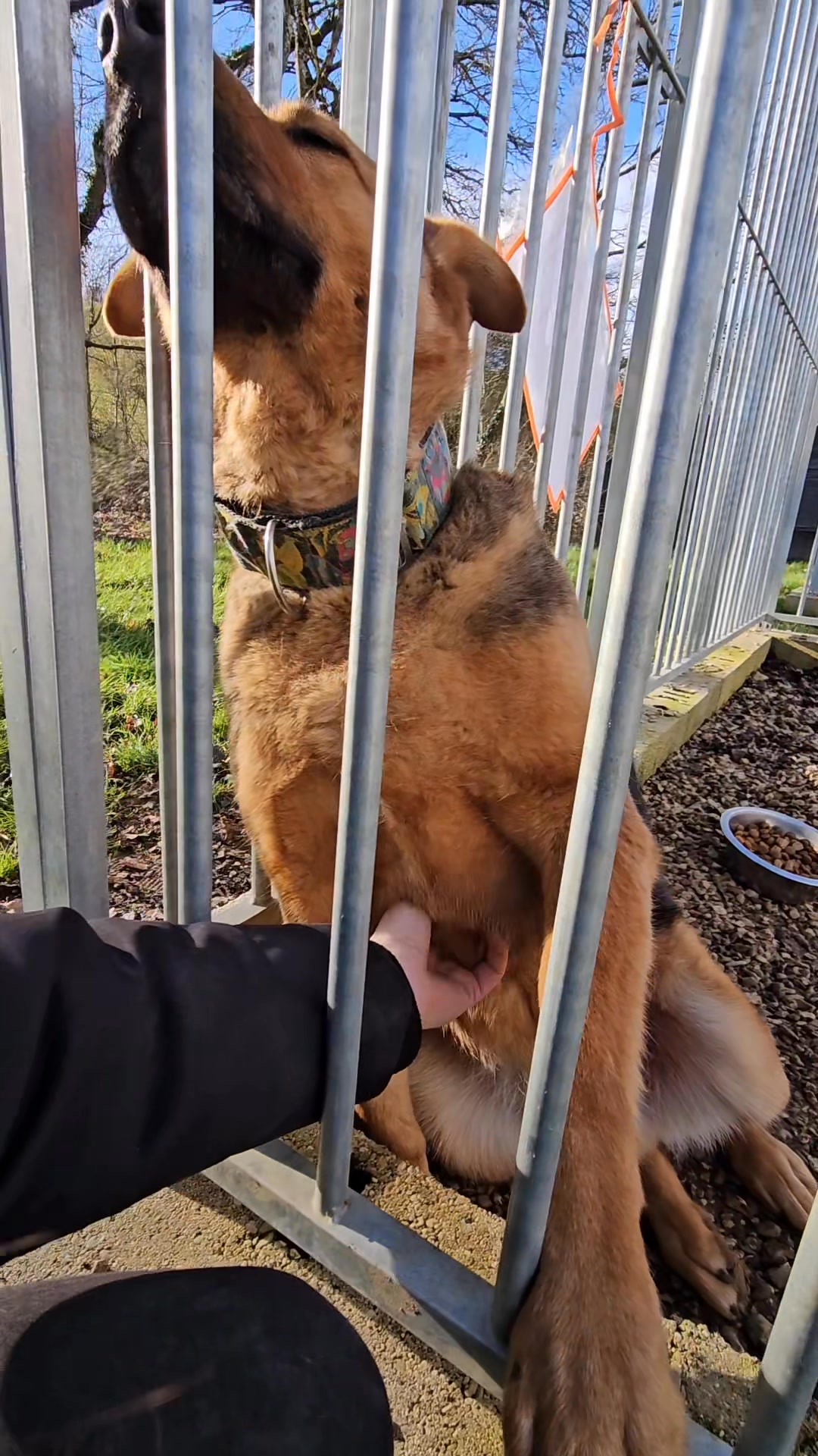 Association Célestia, Partenaire du Refuge d'Alina & Anda